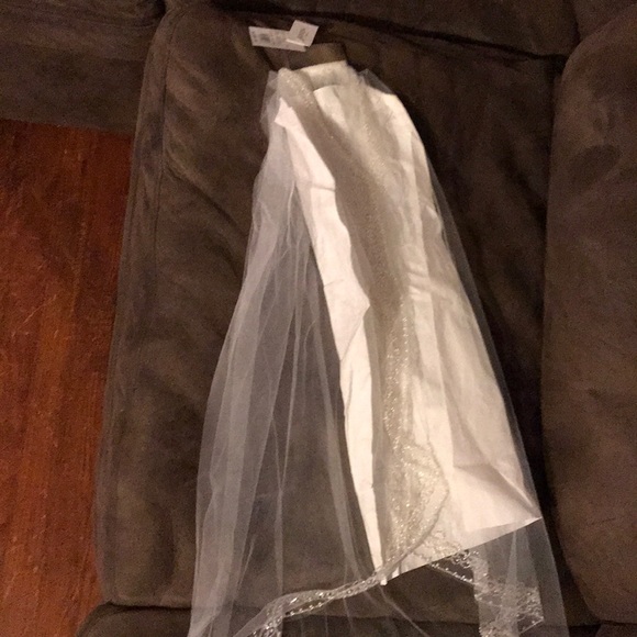 David’s Bridal wedding dress and veil - Picture 2 of 4